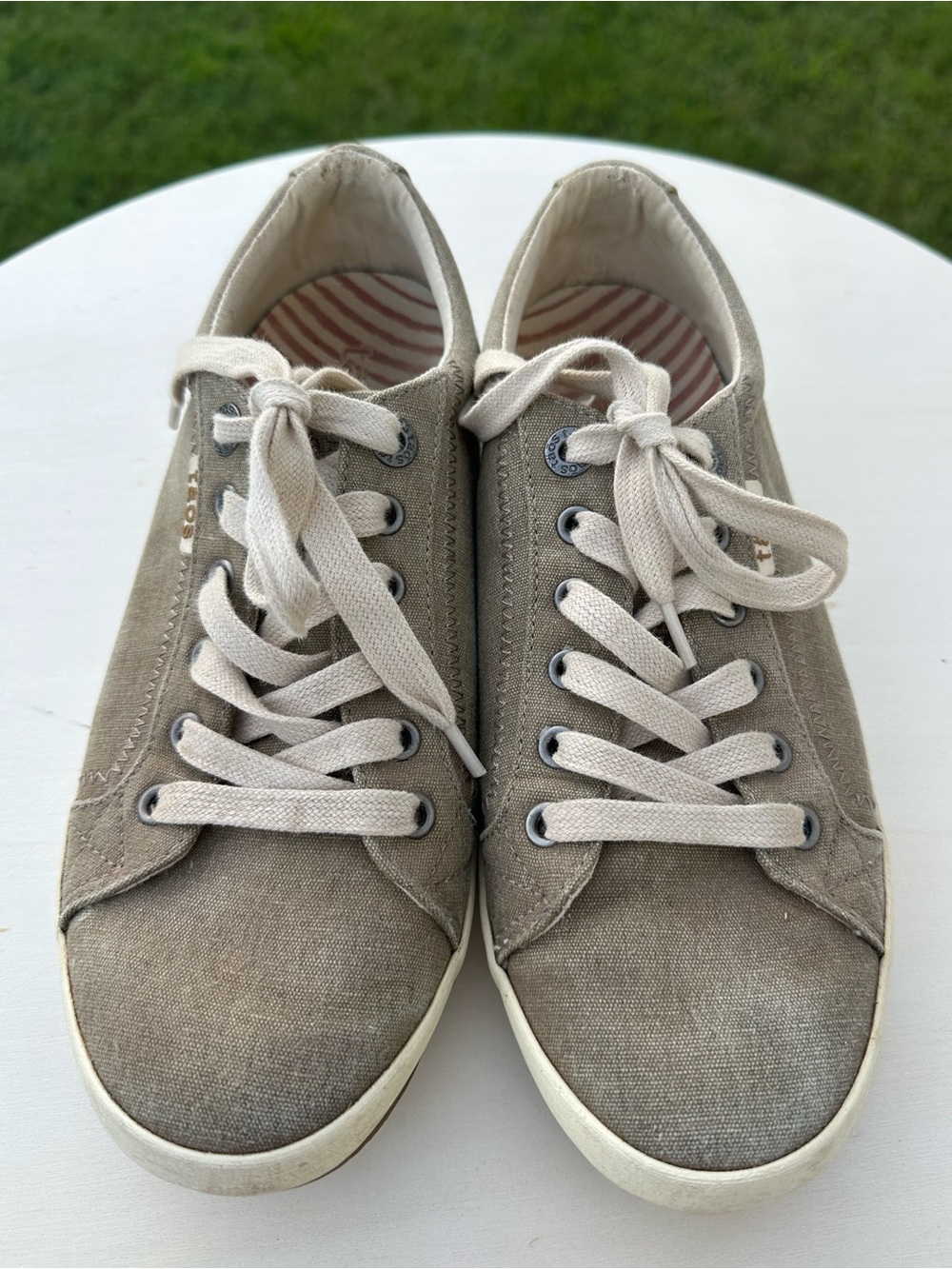 TAOS Women’s Canvas Lace-Up Sneakers 8.5 – Taupe/Gray